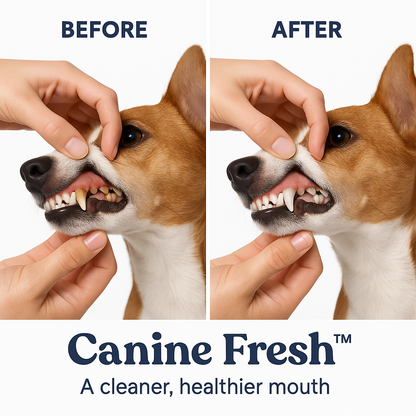 CanineFresh - Teeth Cleaning Wipes